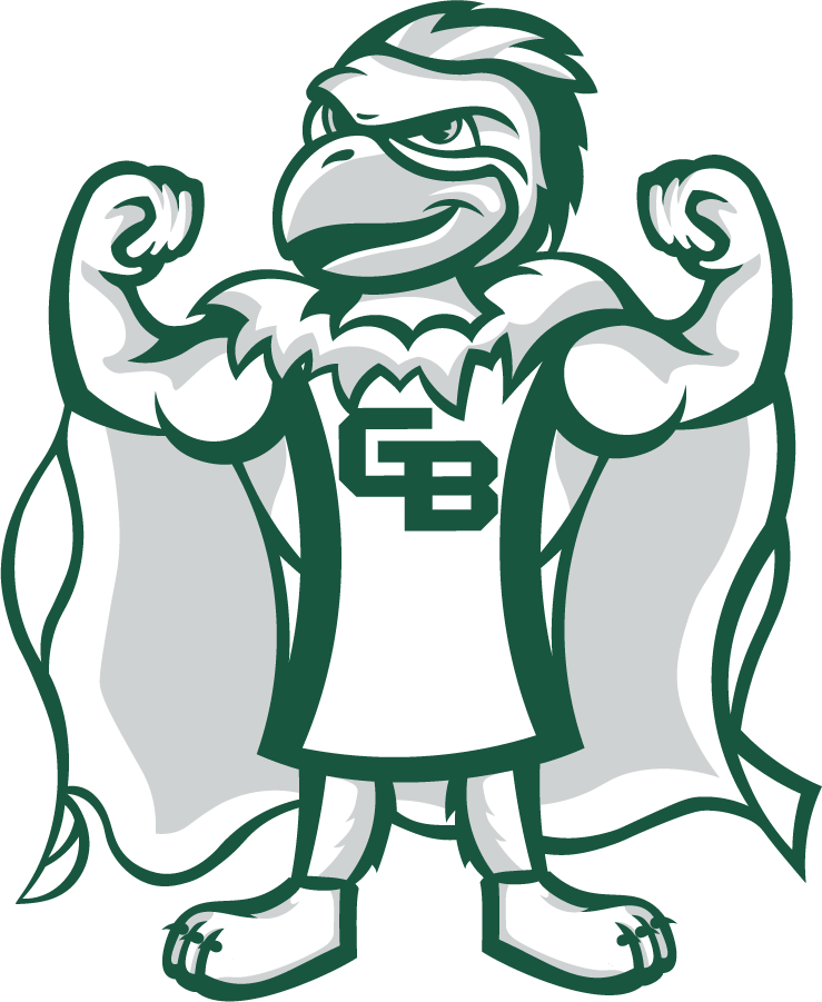 Wisconsin-Green Bay Phoenix 2020-Pres Mascot Logo v5 t shirts iron on transfers